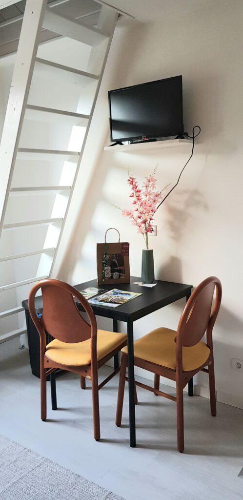 SAINT- NECTAIRE - Logements pour saisonniers / stagiaires