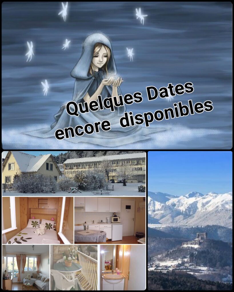 MUROL - Appartement meublé à louer à l'année (T1)