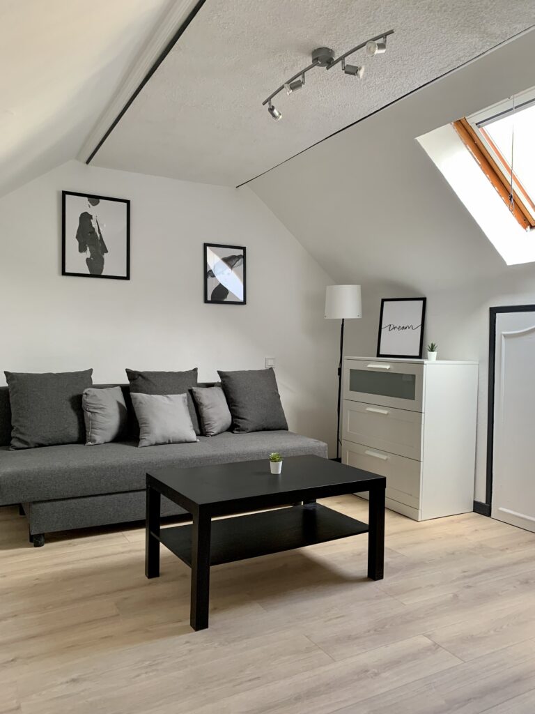 LE MONT-DORE- Appartement meublé à louer à  l’année et/ou contrat saisonnier (T1)