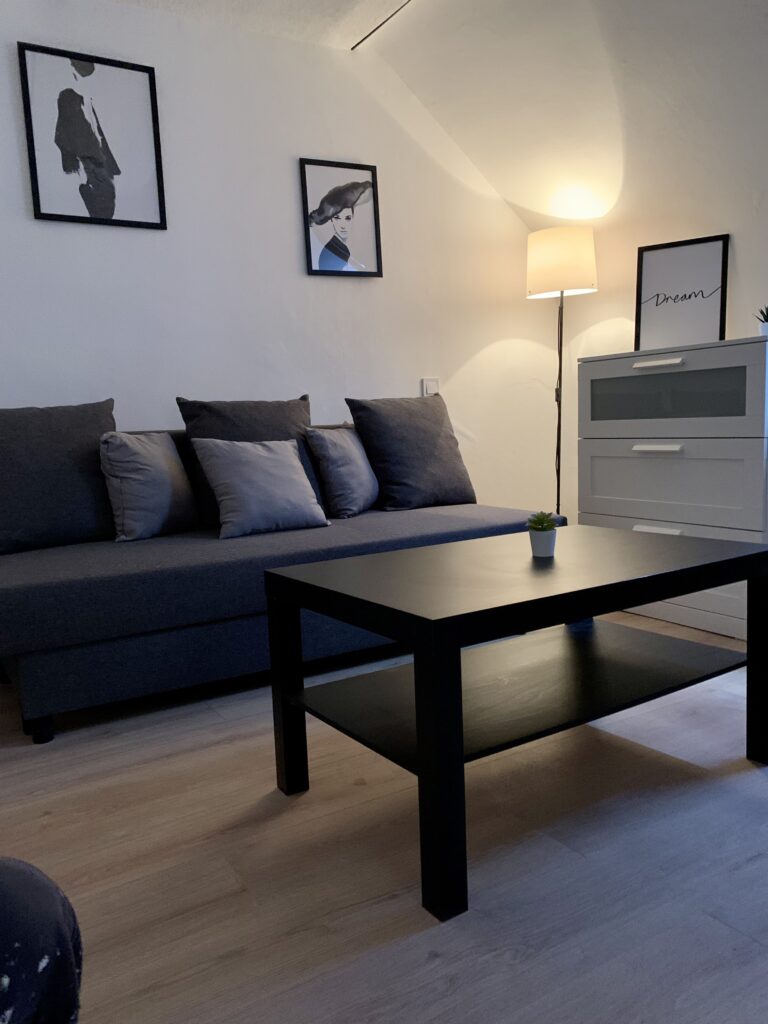 LE MONT-DORE- Appartement meublé à louer à  l’année et/ou contrat saisonnier (T1)